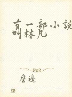 有一部小说主角叫林凡