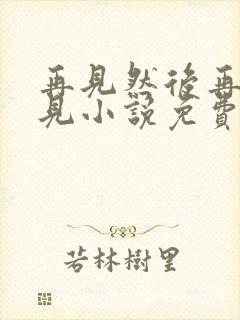 再见然后再也不见小说免费阅读全文