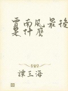 贾南风最后结局是什么