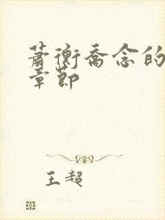 萧衡乔念的最新章节