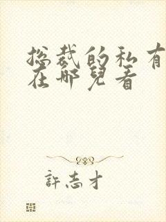 总裁的私有宝贝在哪儿看