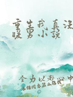 重生我真没想当暖男小说