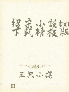 绍宋小说txt下载精校版