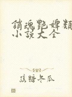 销魂艳婢类似的小说大全