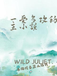 一受多攻的双男主小说