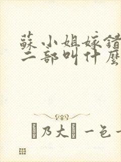 苏小姐嫁错人第二部叫什么名字