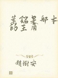 叶铭是哪本小说的主角