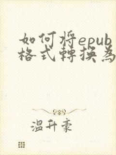 如何将epub格式转换为pdf格式