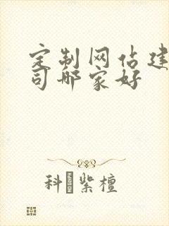 定制网站建设公司哪家好