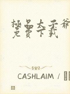 极品太子爷全本免费下载