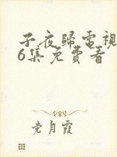 子夜归电视剧36集免费看