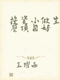 投资小做生意什么项目好