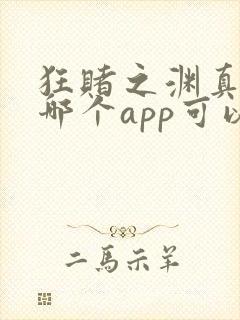 狂赌之渊真人版哪个app可以看