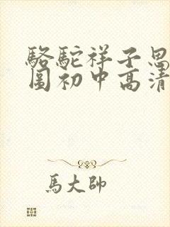 骆驼祥子思维导图初中高清