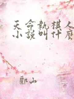 天命执棋人原著小说叫什么名字