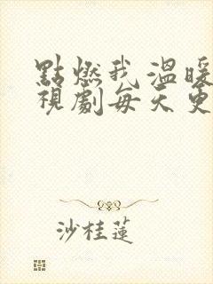 点燃我温暖你电视剧每天更新几集