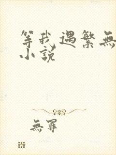 等我遇繁无删减小说