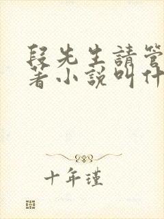 段先生请管我原著小说叫什么名字