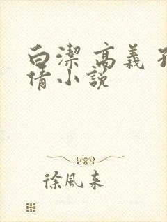 白洁 高义 孙倩小说