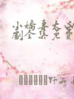 小娇妻太凶了短剧全集免费观看