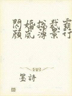 闪婚总裁霸道宠颜岚薄景行