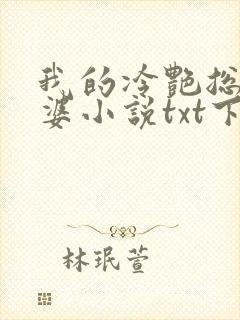 我的冷艳总裁老婆小说txt下载