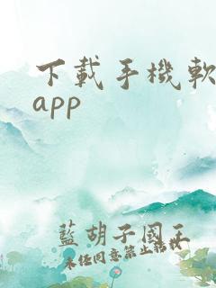 下载手机软件的app