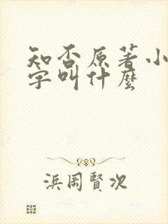 知否原著小说名字叫什么