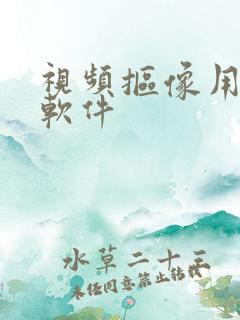 视频抠像用哪个软件