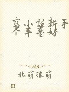 写小说新手去哪个平台好