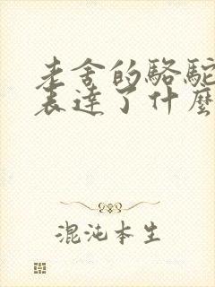 老舍的骆驼祥子表达了什么