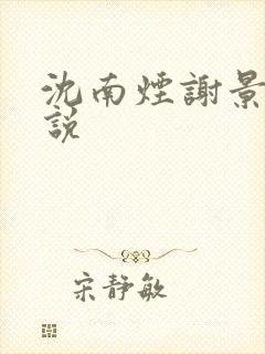 沈南烟谢景皓小说