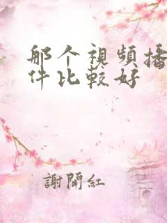 那个视频播放软件比较好