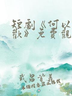 短剧《何以渡清欢》免费观看