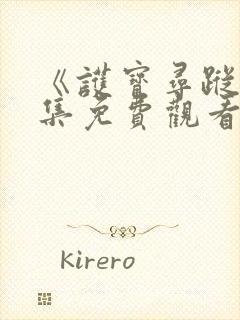 《护宝寻踪》全集免费观看