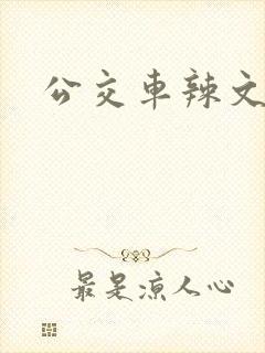 公交车辣文合集