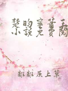 楚昀宁萧王穿越小说免费阅读无弹窗