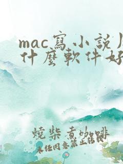 mac写小说用什么软件好