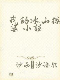 我的冰山总裁老婆 小说