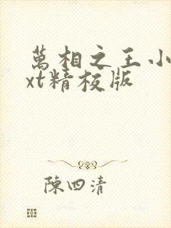 万相之王小说txt精校版