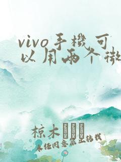 vivo手机可以用两个微信吗