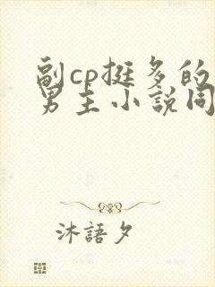 副cp挺多的双男主小说同人文