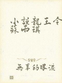 小说龙王令陈平苏雨琪