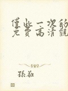 仅此一次的爱情免费高清观看