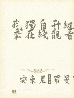 我独自升级第二季在线观看动漫