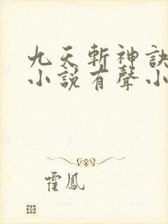九天斩神诀林辰小说有声小说