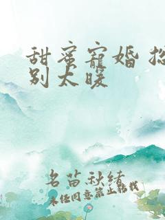 甜蜜宠婚 总裁别太暖