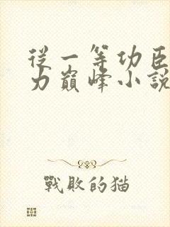 从一等功臣到权力巅峰小说免费阅读