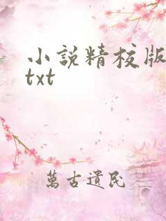 小说精校版全本txt