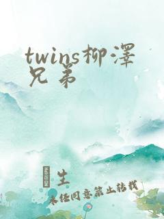 twins柳泽兄弟